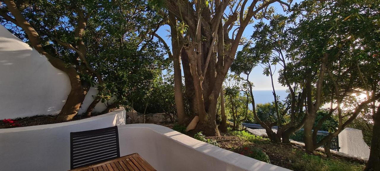 Guest House Villa Il Gabbiano Ponza Exterior foto